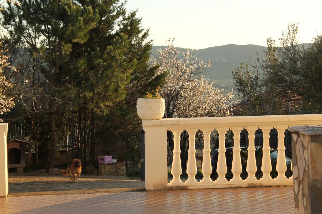 Villa Malandrino Guest House Agropoli Exterior foto